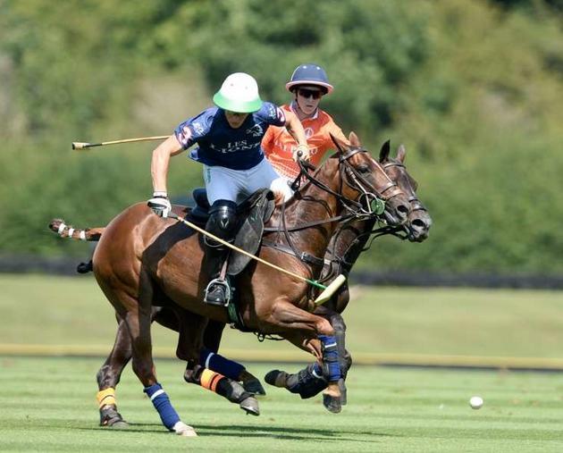 polo les lions castagnola