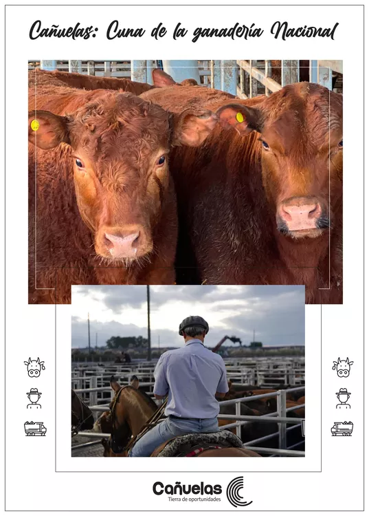 Aviso WEB Suple Campo