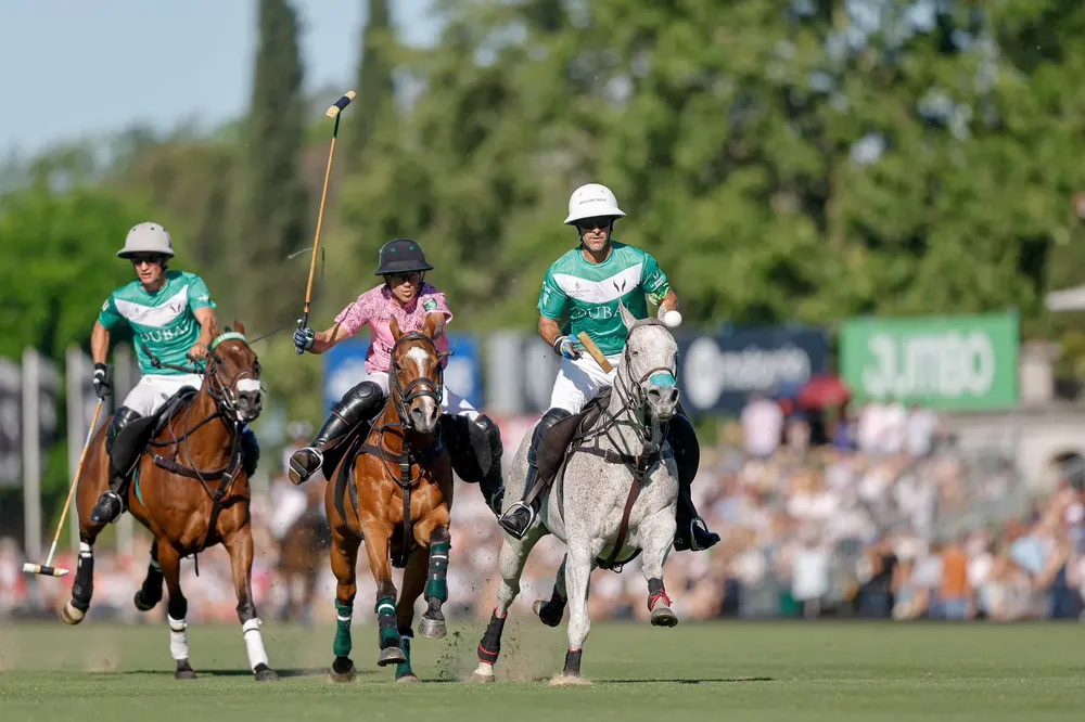 Polo 3