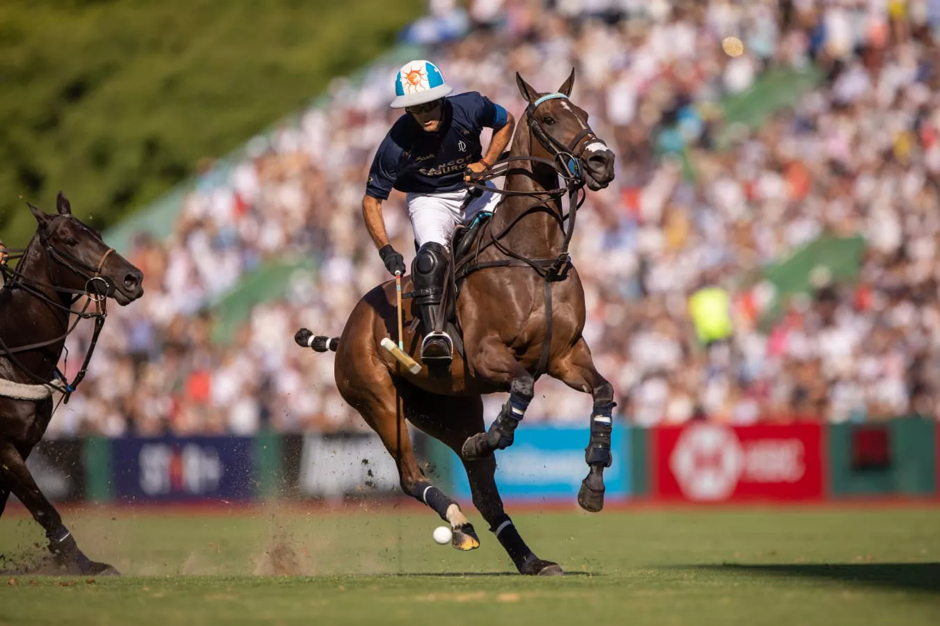 Foto Polo 3