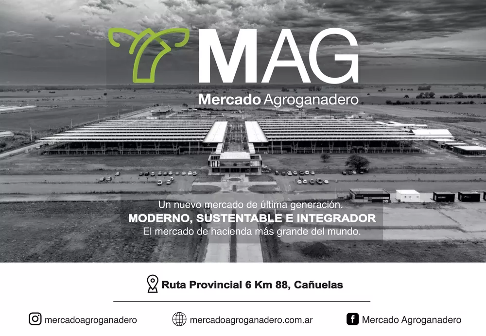 MAG Aviso WEB