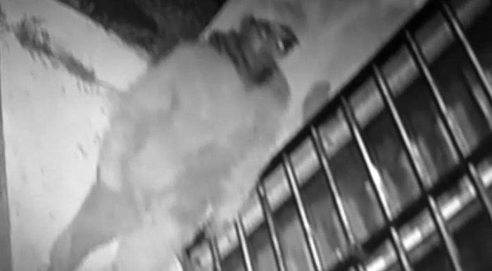 chorro villa adriana