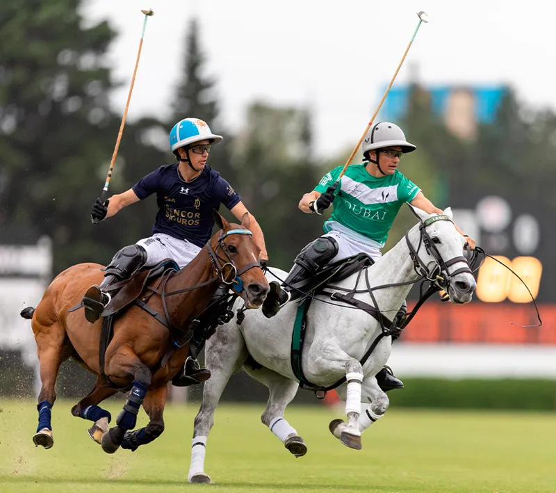 Polo