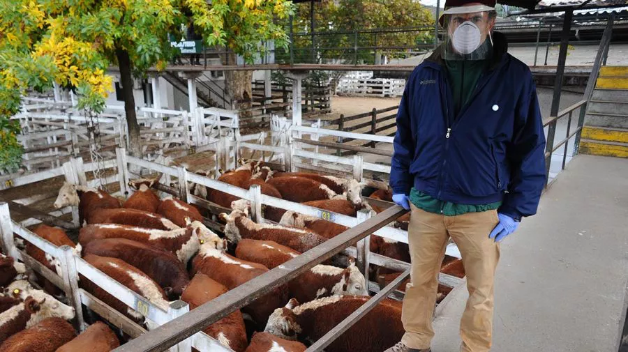 0b3509eb-03d5-41f5-8930-cb6c2eb7ec18