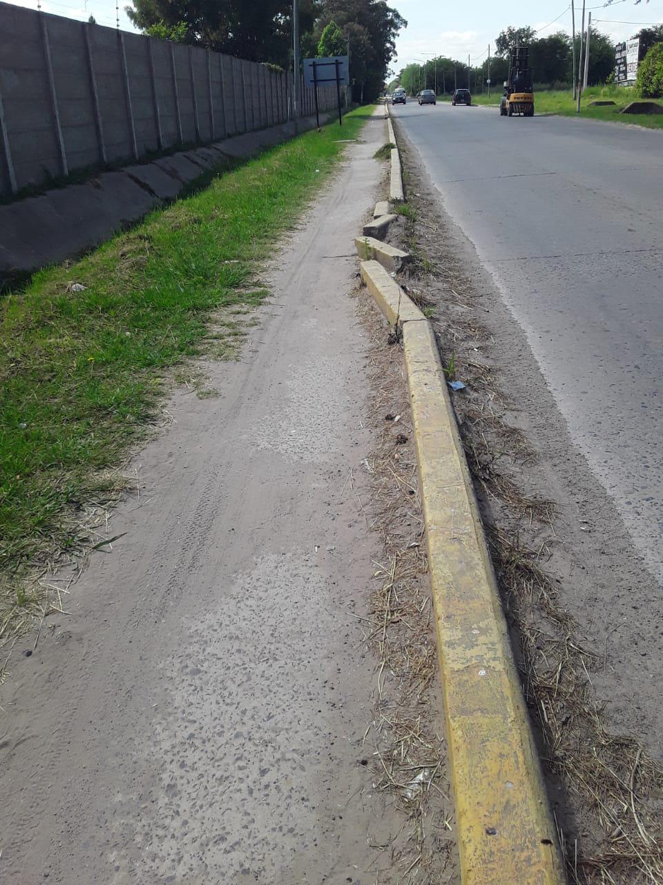 bici 1