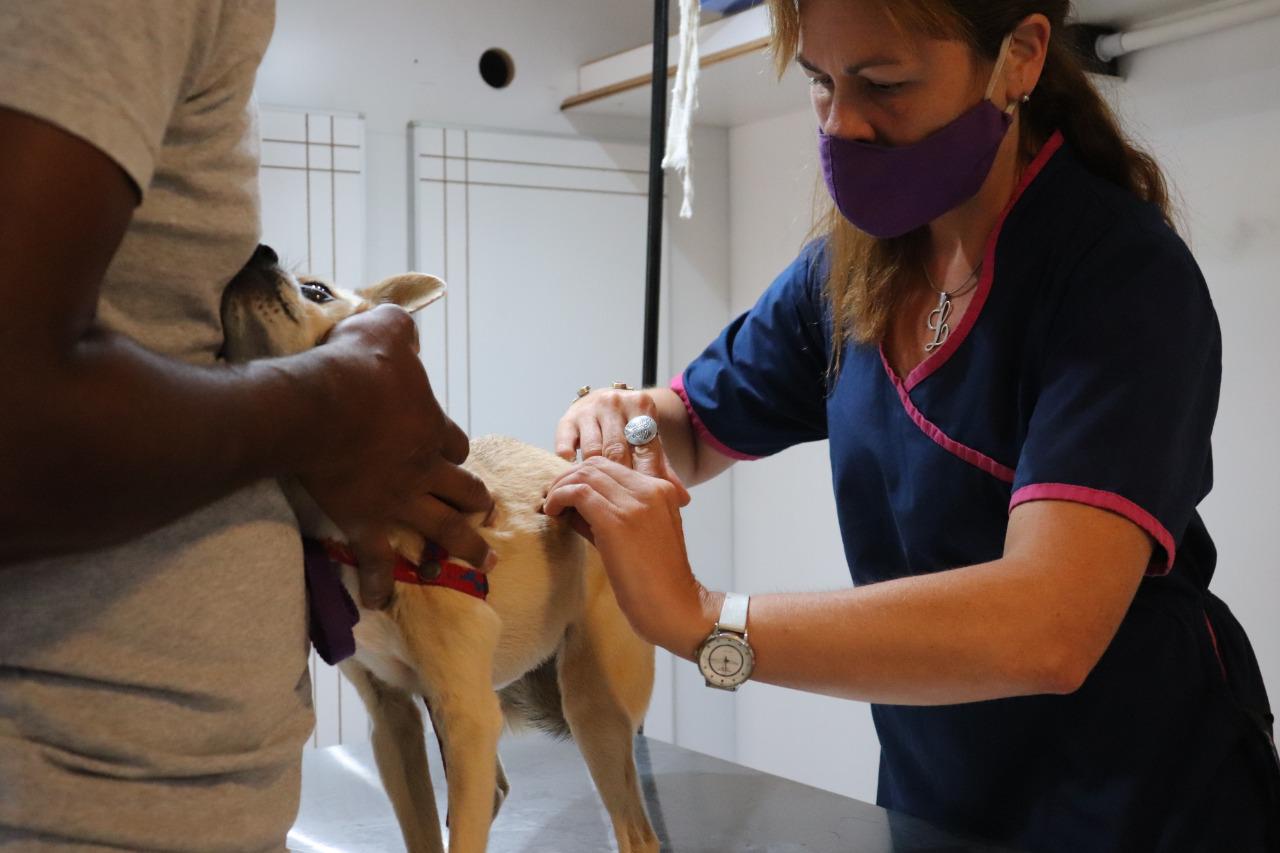 12-3 vacunación antirrabica (1)