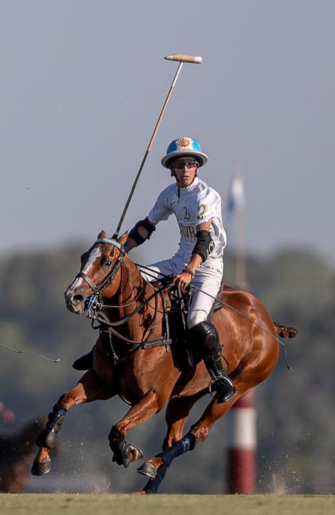 polo poroto cambiaso