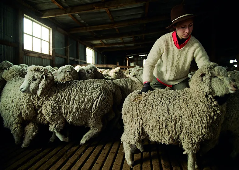 Página 6 Segunda foto