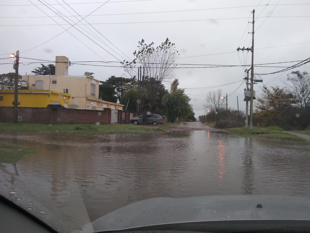 CAMINO PANELO