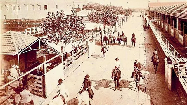 e6e0c95b-2bae-4f85-9db9-292be9ea0b65