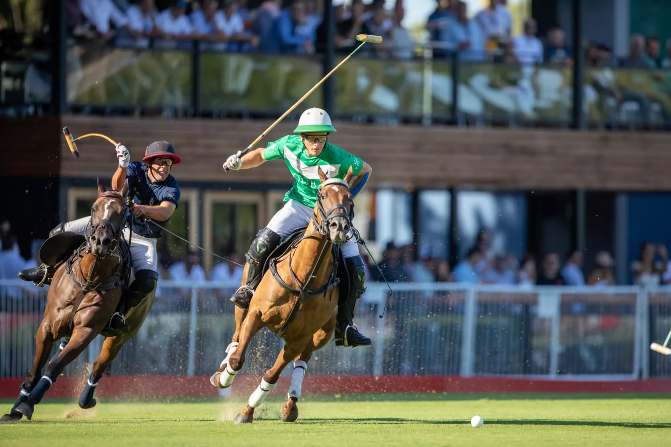 Foto Polo