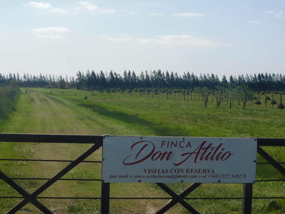 vino uribe don atilio