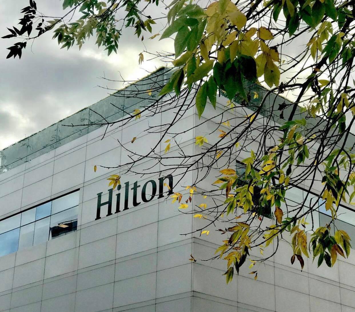 hilton