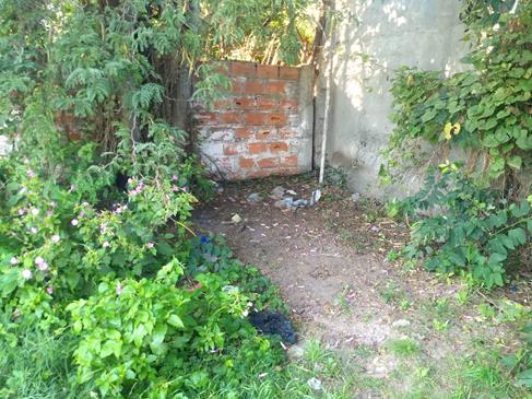 Pag 14 Plaza abandonada 3