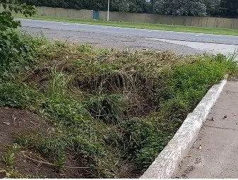 thumbnail_Moreno y Ruta 205