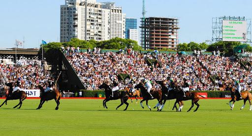 polo palermo