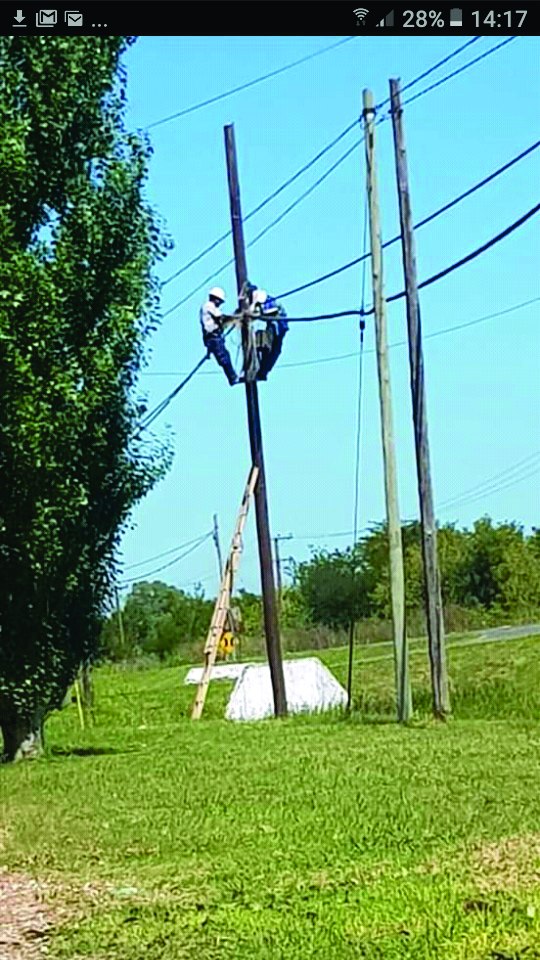 vicente casares arreglo cables telefono