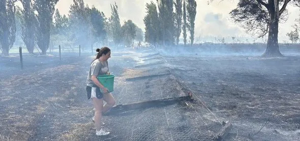 thumbnail_u2 fuego 2