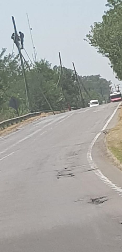 lineas telefonicas face