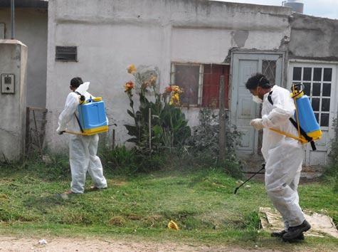 fumigacion-dengue-1