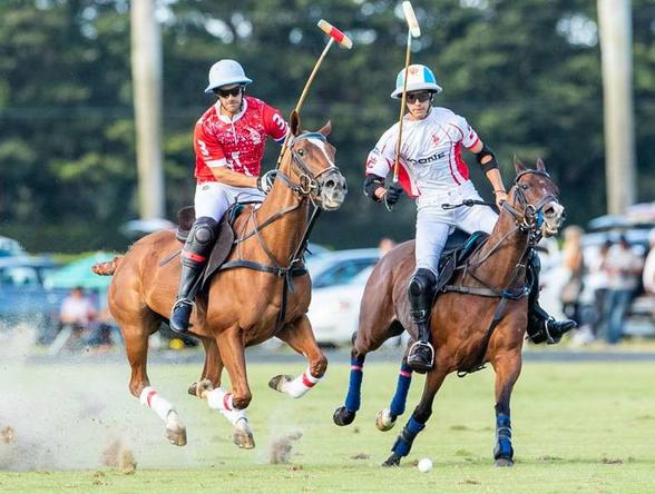 polo poroto cambiaso