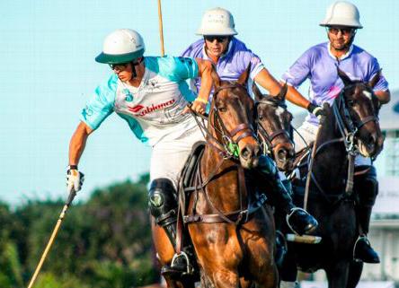 polo barto castagnola