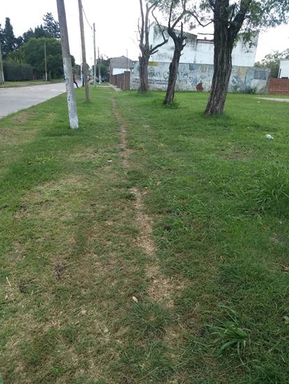 Pag 14 Plaza abandonada 5