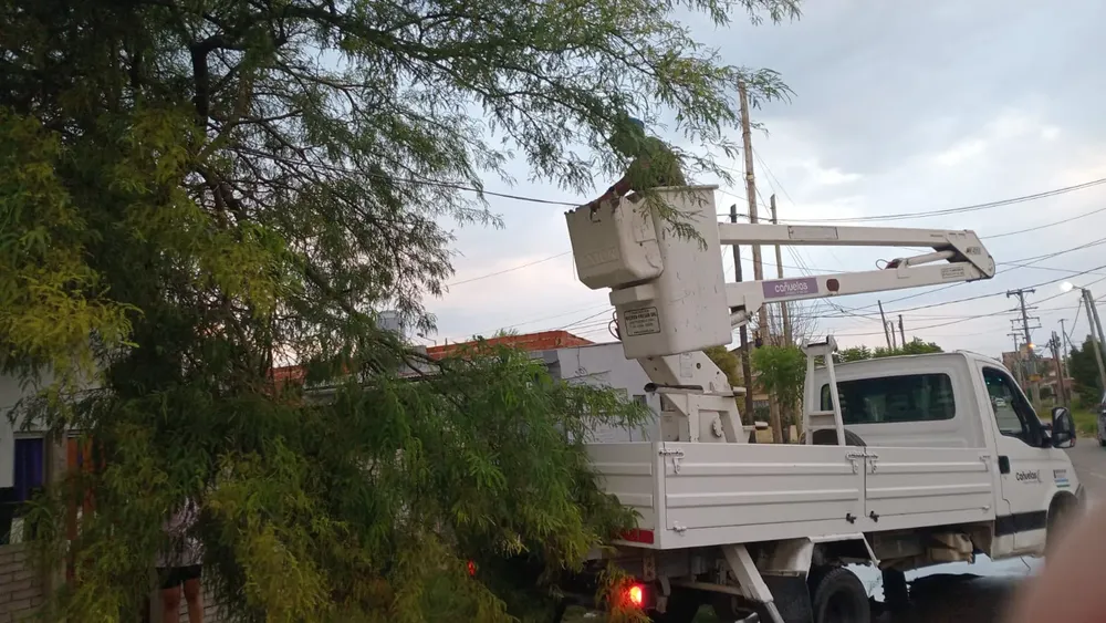 WhatsApp Image 2026-01-31 at 10.06.10