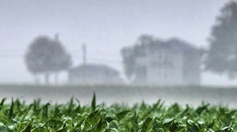 lluvias-campo-800x445