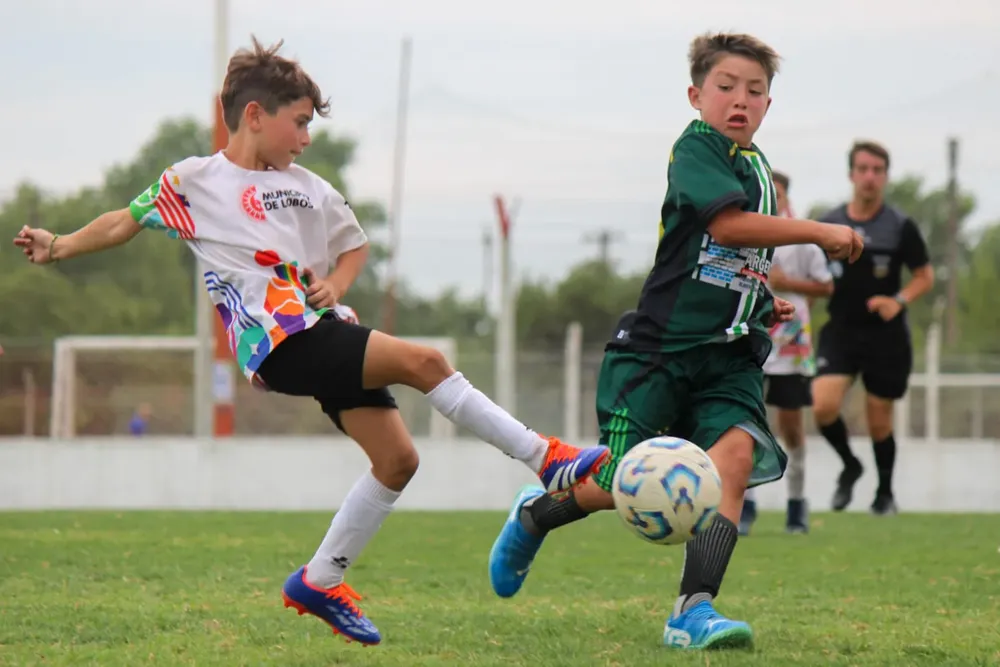 091131c3-ca04-4ad9-b72c-1fa114f33986