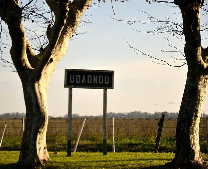 udaondo