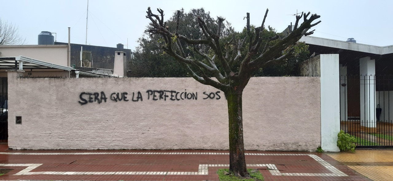 Dia del Arbol 2