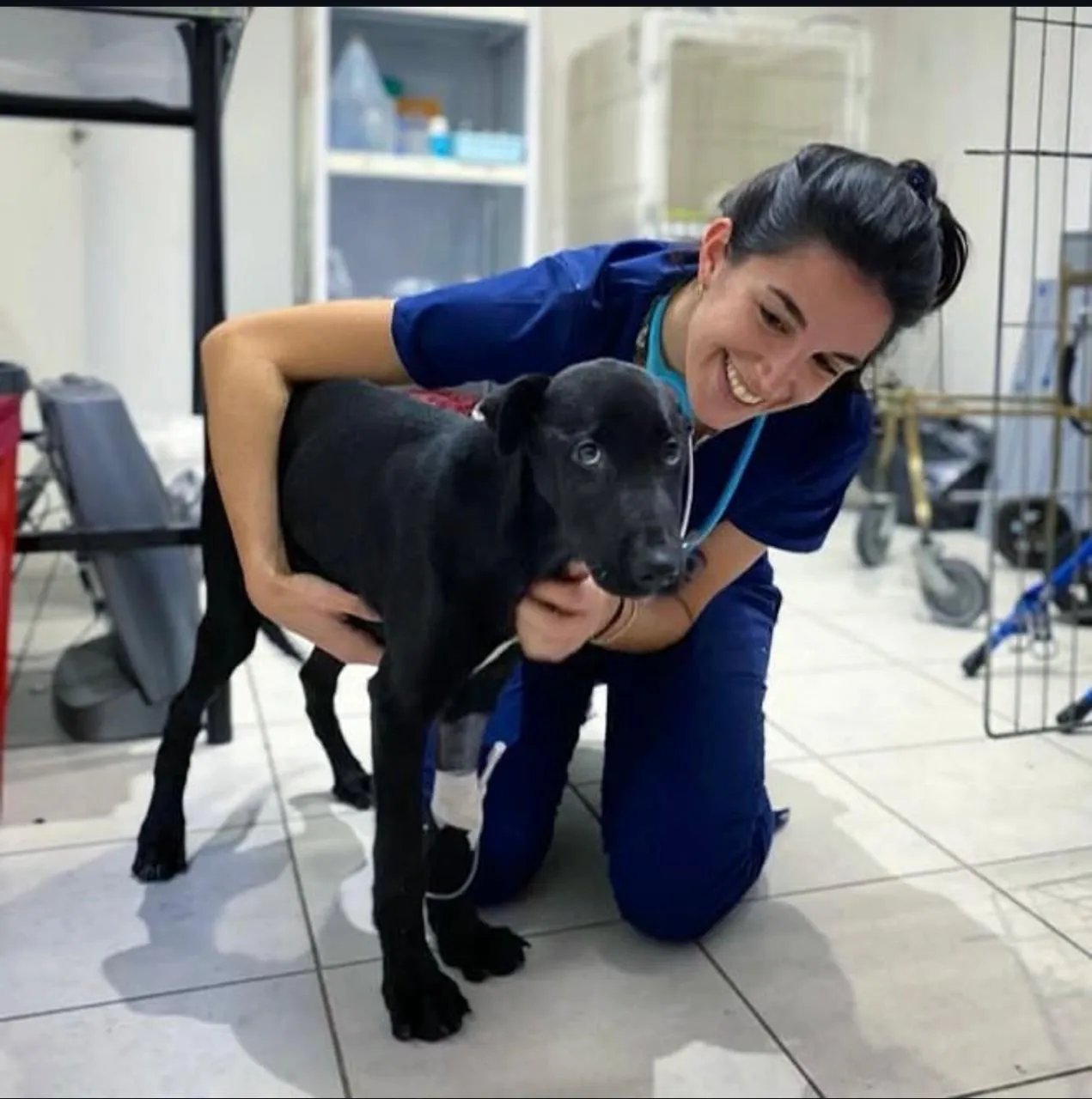 Foto Página 24 a la derecha