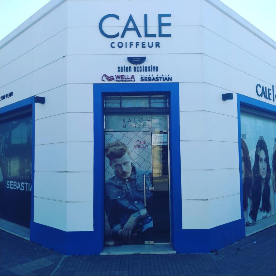 CALE 2
