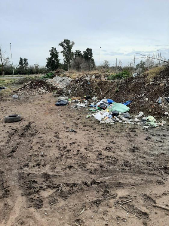 basura moradas 1