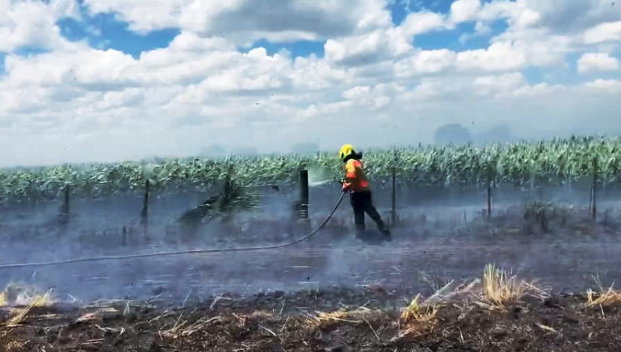 Bomberos en acción