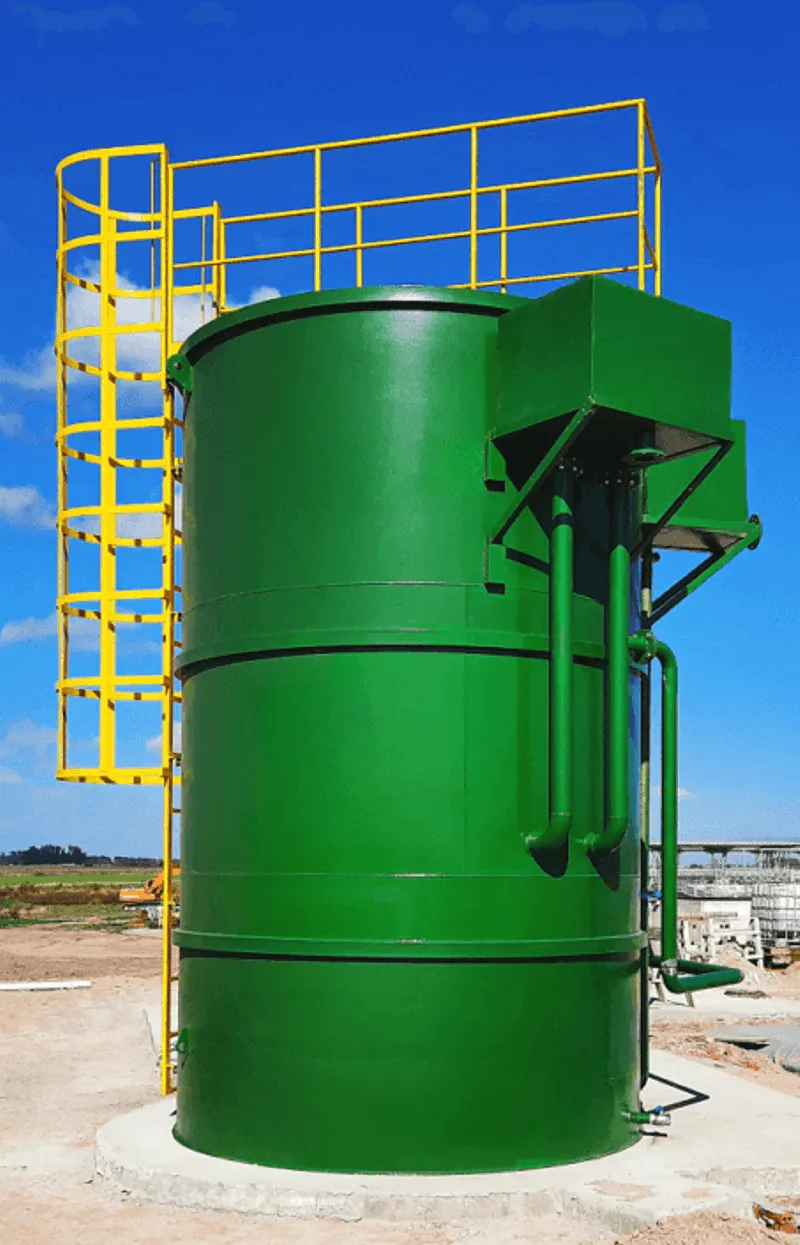 Foto Página 11 abajo