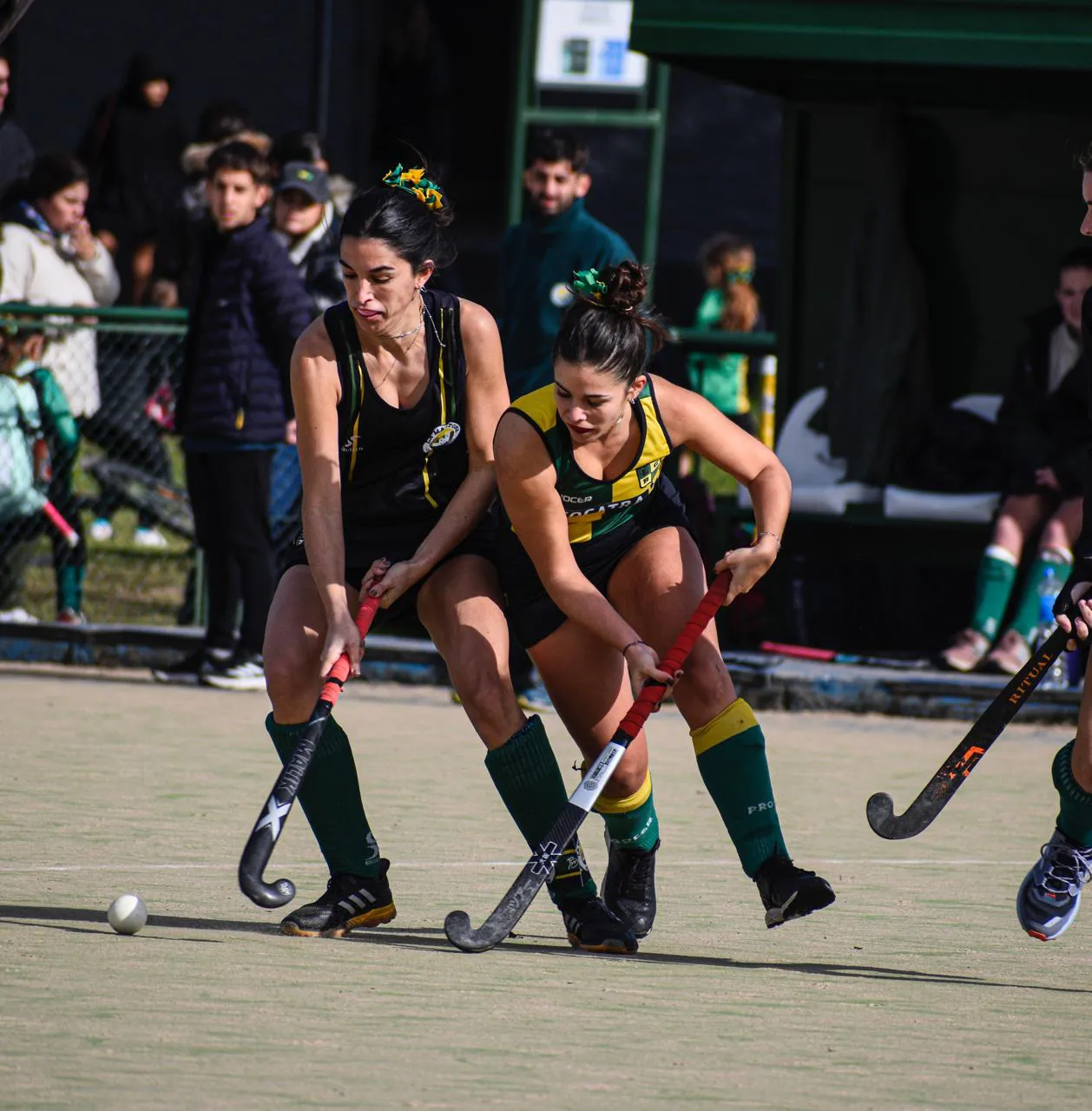 Foto Página 24 a la izquierda