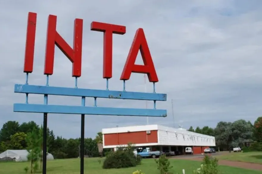 Foto Página 6 a la izquierda