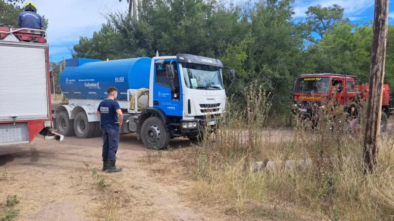 WhatsApp Image 2025-01-26 at 22.28.25