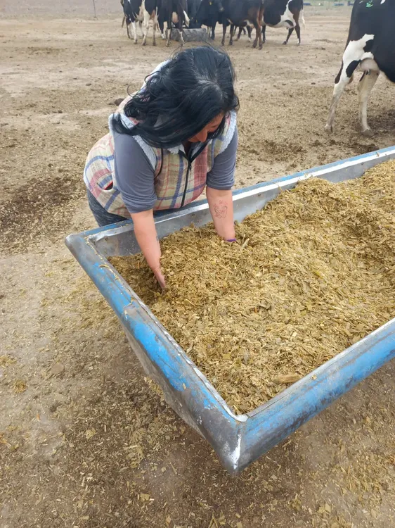 WhatsApp Image 2026-01-13 at 18.35.26