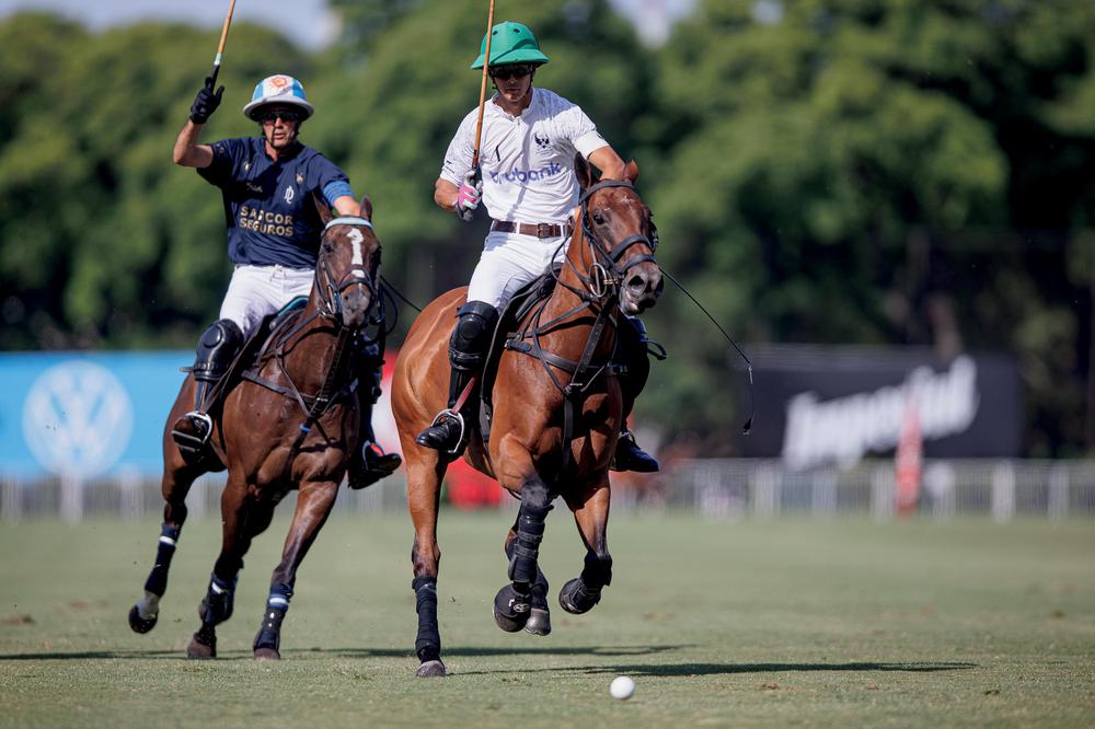 polo LA DOLFINA perdio ante LA ENSENADA