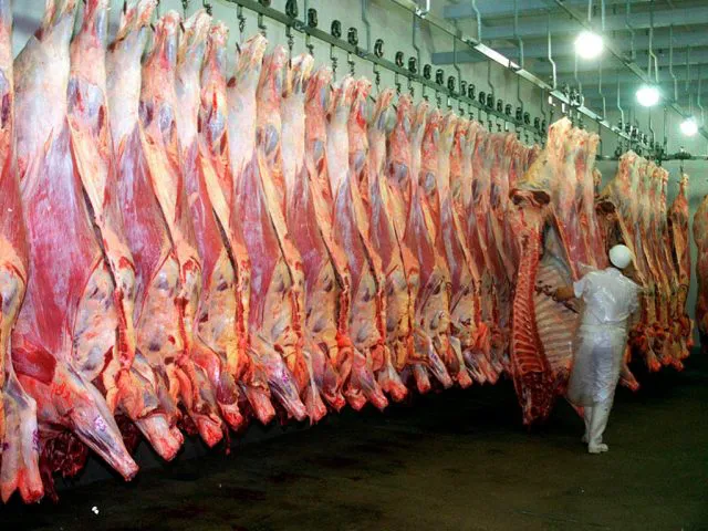 Foto Campo Página 6