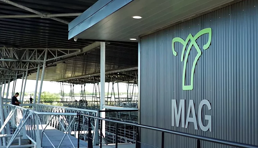 MAG 3