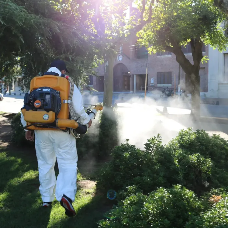 fumigación centro