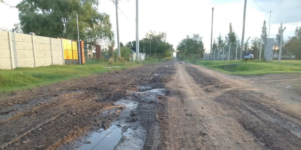 thumbnail_los campitos