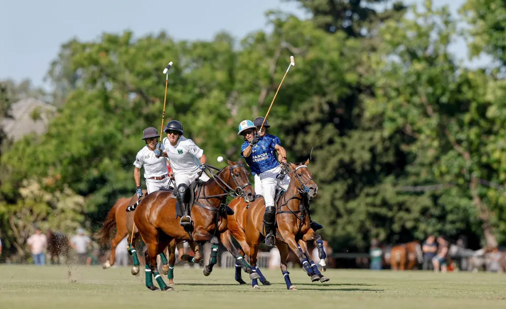 thumbnail_La Dolfina