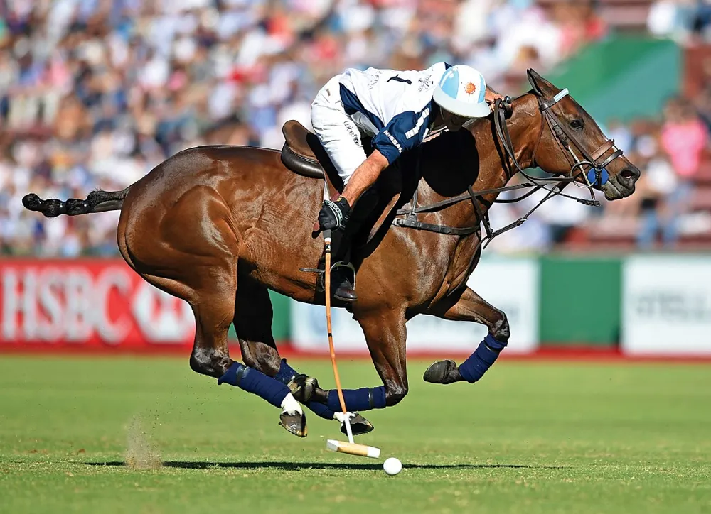 1e65505423593215efcd9490832aff10-2