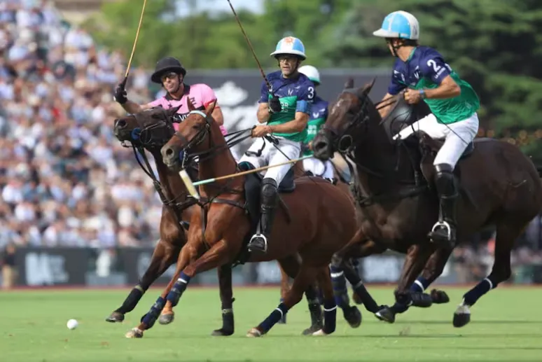 Captura de pantalla 2025-12-07 202244