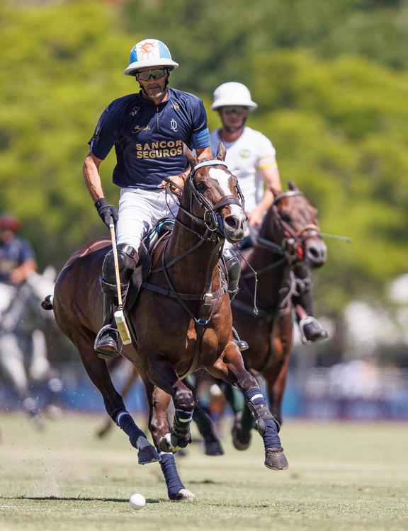 polo la dolfina alegria standard ADOLFO CAMBIASO